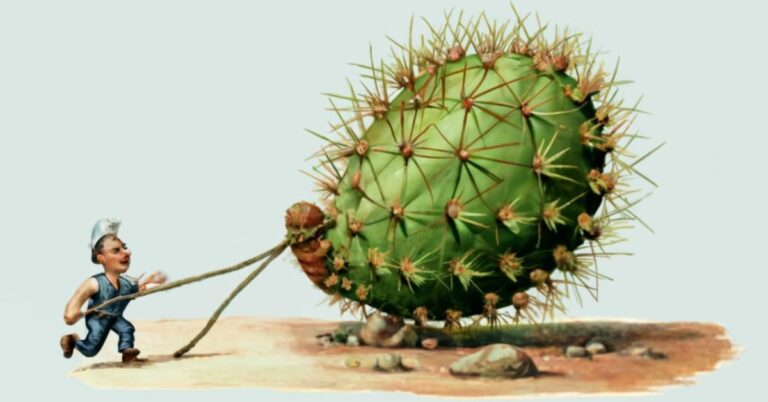 What is a Cactus Keel Haul? Exploring the Concept and Its Origins