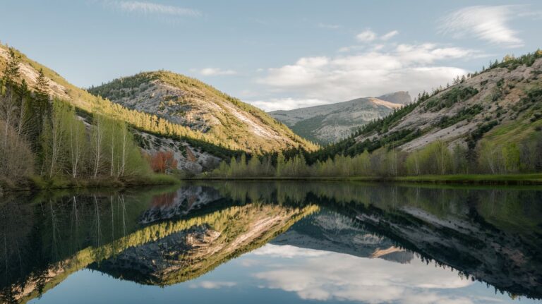 Nature:5nor5a-vhpg= Background – A Comprehensive Guide to Well-Being